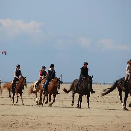 Immensee App H Appartement *