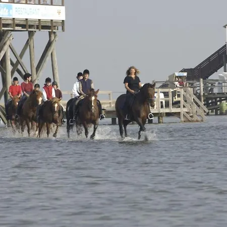 Appartement Immensee App H Ehst